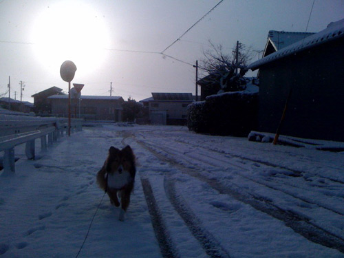 写真_110117_06.jpg
