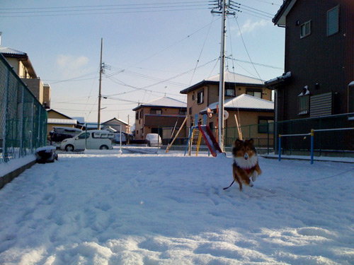 写真_110117_12.jpg