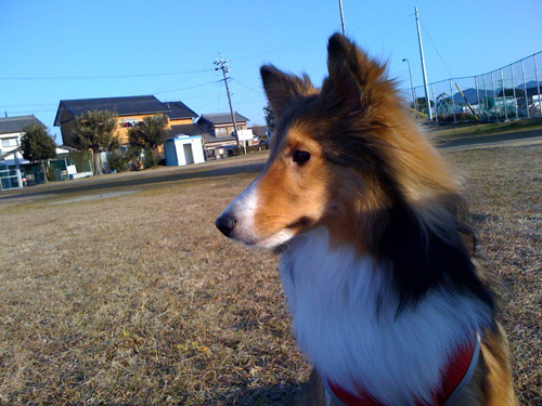 写真_110121_08.jpg
