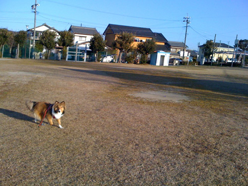 写真_110121_09.jpg
