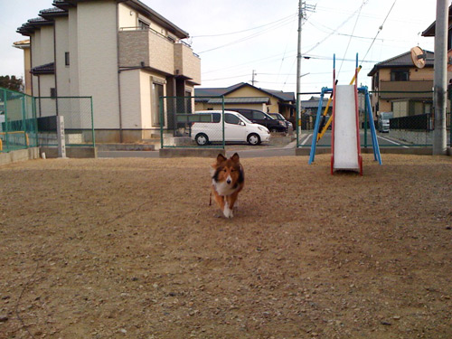 写真_110131_05.jpg