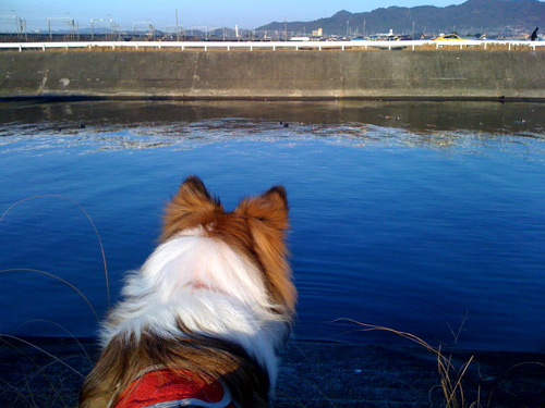 写真_110203_03.jpg