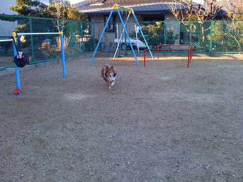 写真_110203_05.jpg