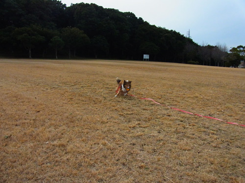 R0010159.jpg
