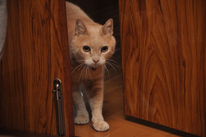 DSC_4039.jpg