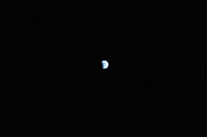 DSC_3389.jpg