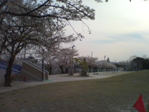 泉小学校4