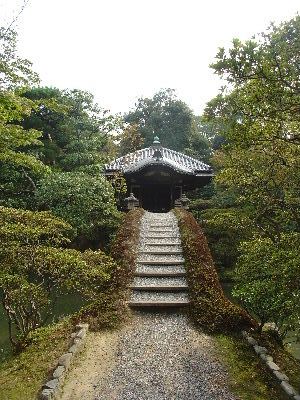 katurarikyu31
