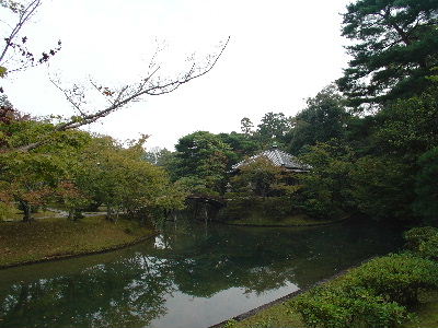 katurarikyu39