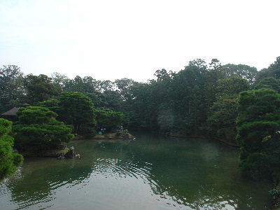 katurarikyu59