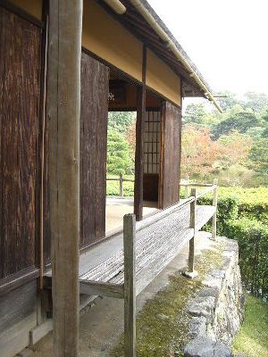 katurarikyu60