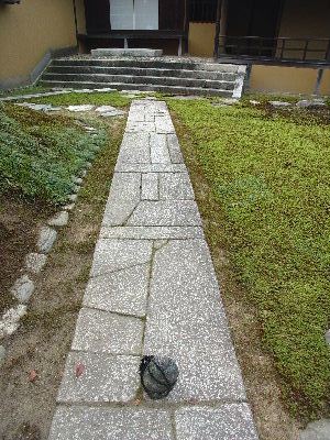 katurarikyu74
