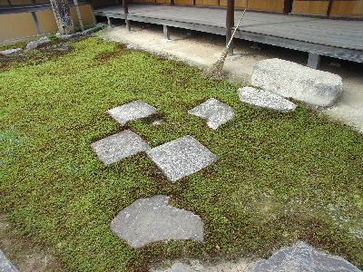 katurarikyu75