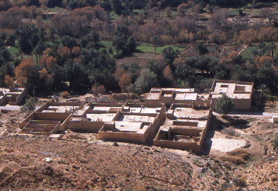 ziz02