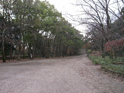 tadashunomori1