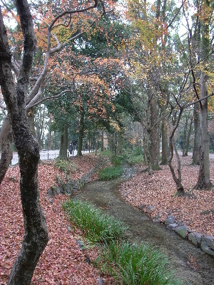 tadashunomori2