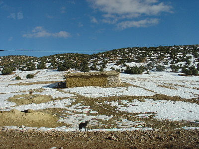 aguelman02