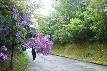 2019.09.16.001.jpg