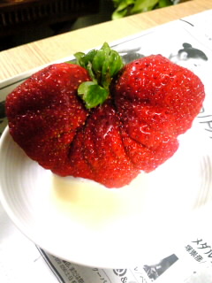 SH370301.jpg