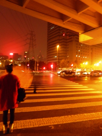 超長い横断歩道