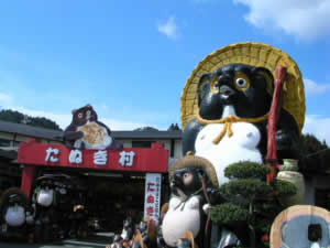 たぬき