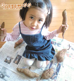 おいもさんと
