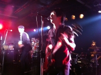 THE HAVENOTS