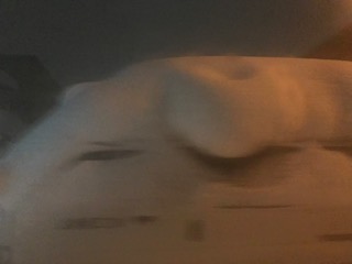 image1.jpeg