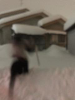 image1.jpeg