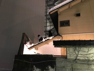 image1.jpeg