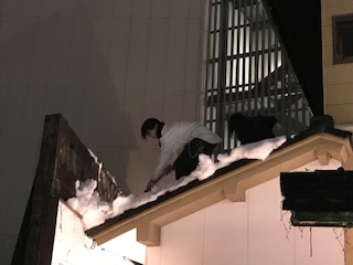 image1.jpeg