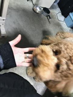 image1.jpeg