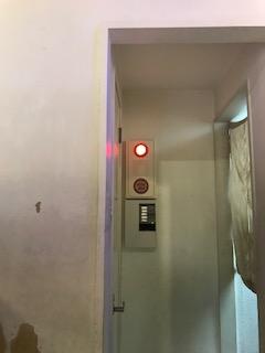 image1.jpeg