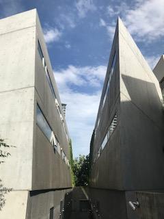 image1.jpeg