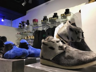 image1.jpeg
