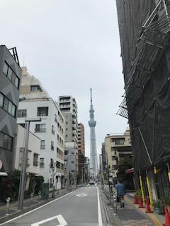 image1.jpeg