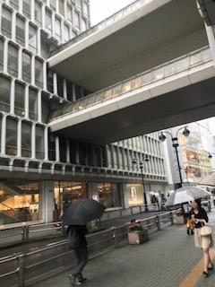 image1.jpeg