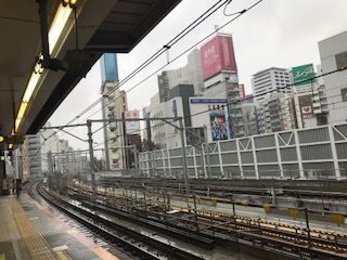image1.jpeg