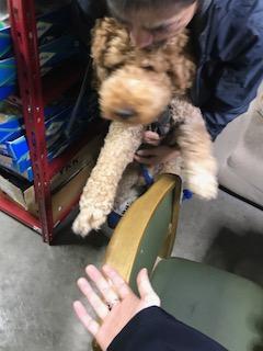 image1.jpeg