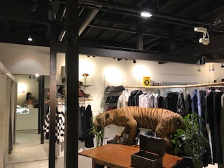 image1.jpeg