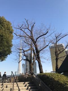 image1.jpeg