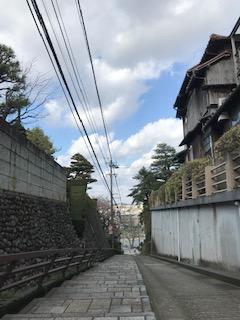 image1.jpeg