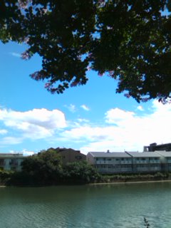 120821_1025~01.jpg