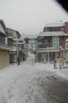 2014-yuki-11