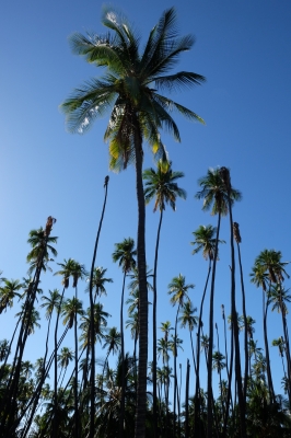 molokai2016-5