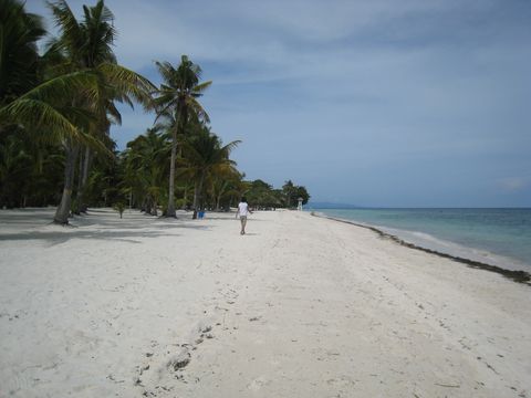 BOHOL