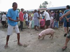 Moalboal