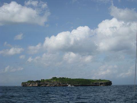 Moalboal