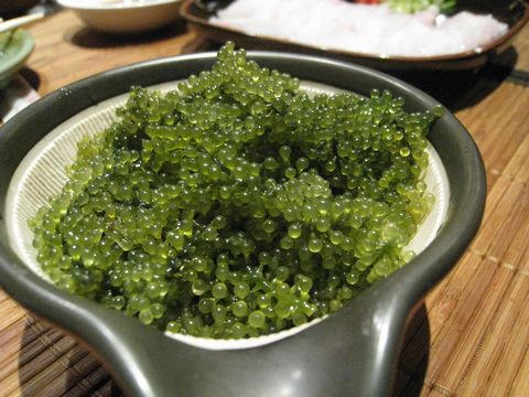 Japanese Cuisine, Cebu, Philippines