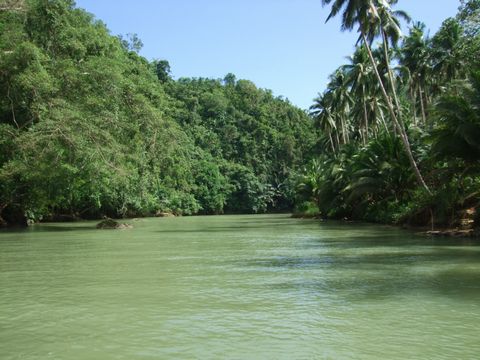 Bohol Island, Travel & Tour, Philippines.